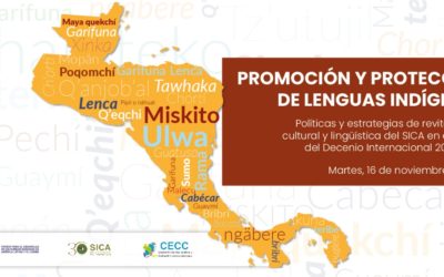 Memoria del Webinar:  Promoción y protección de Lenguas Indígenas